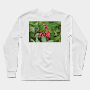 Red fuchsia flowers with leaves in the background Long Sleeve T-Shirt